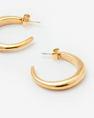 Ring Earrings
