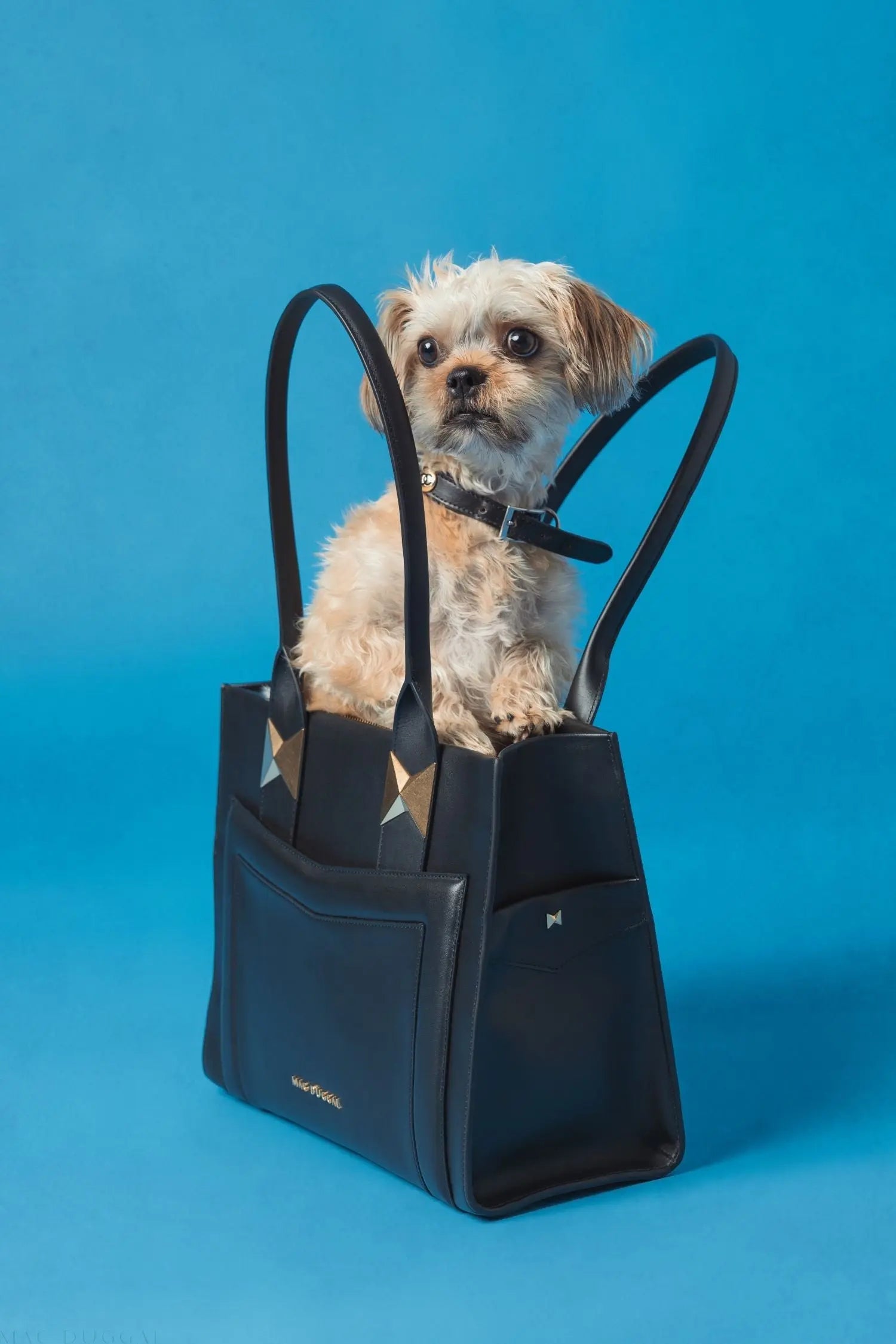 Black Large Leather Briefcase Bag With Gold Hardware